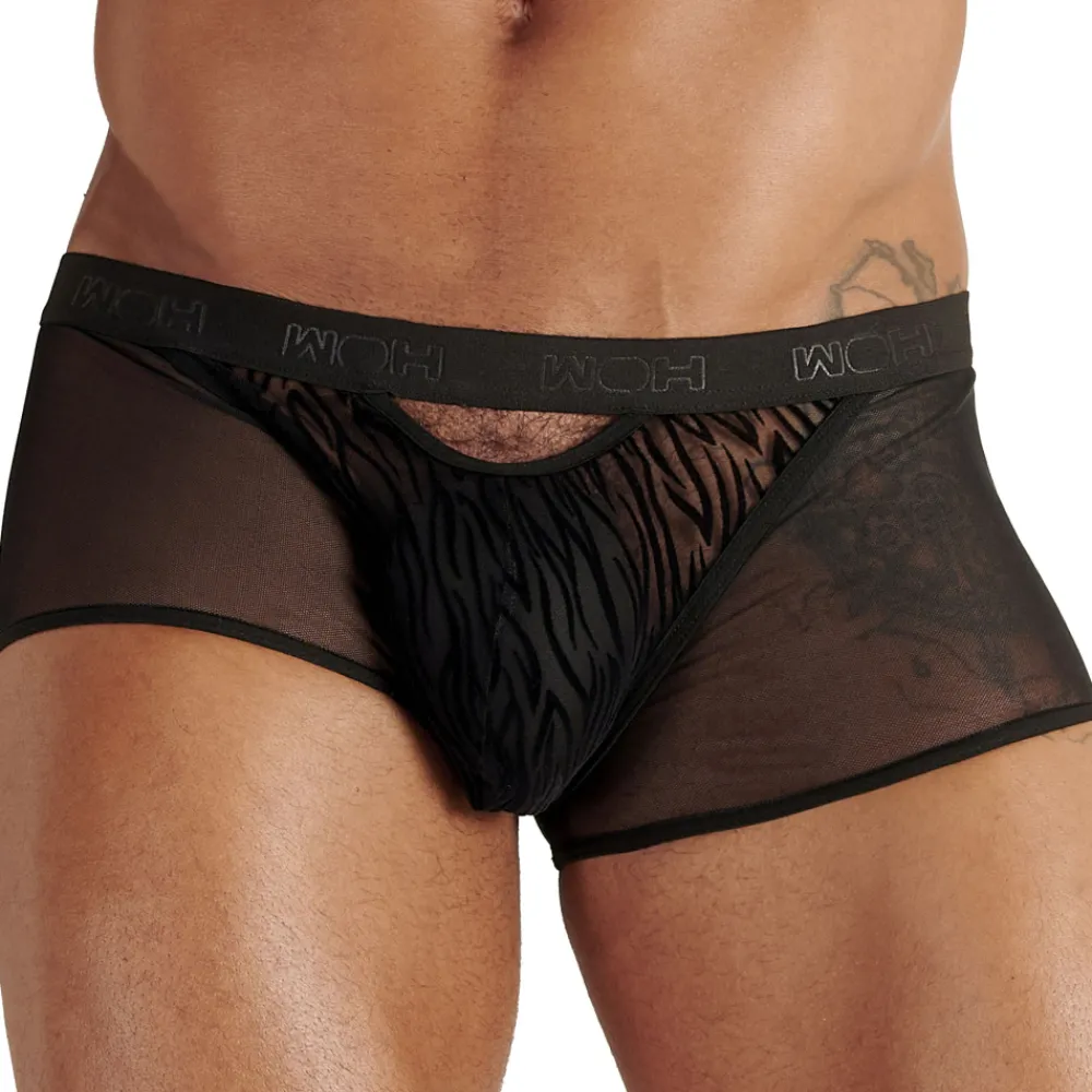 WOH Boxers Sexy-Boxer Court Personal Allure Tigré