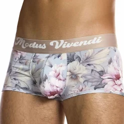 Modus Vivendi Shortys|Boxers-Boxer Court Romance