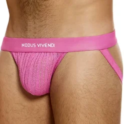Modus Vivendi Jockstraps-Jock Strap Striped Crochet Rose