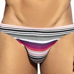 ES Collection Mini Slips|Slips-Slip Bikini Retro Stripes Gris - Rose