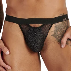 WOH Strings-String Night Universe Noir